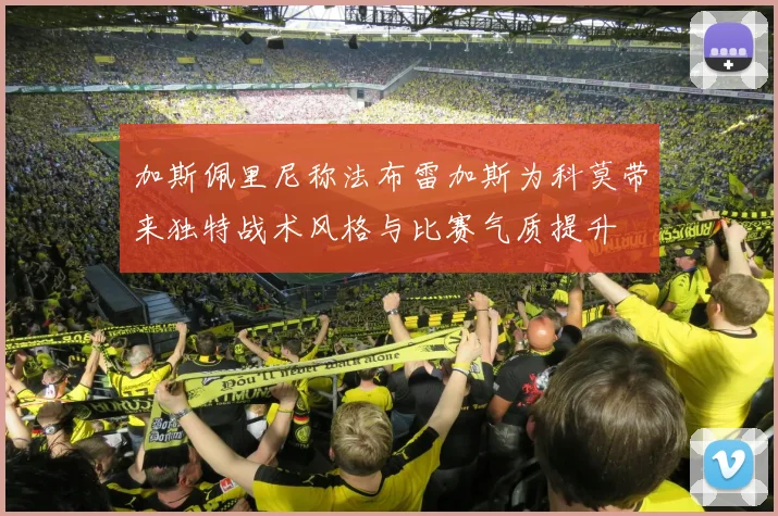 加斯佩里尼称法布雷加斯为科莫带来独特战术风格与比赛气质提升